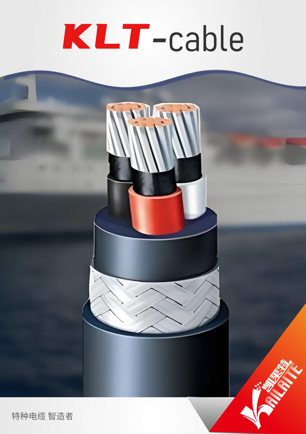 Extension & Compensating Cables
